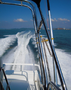 d0017632_15384384.jpg