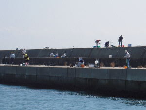 d0017632_16231347.jpg
