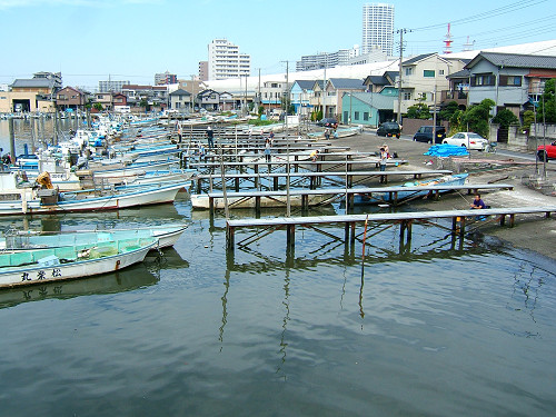船橋港でハゼ釣り 健忘症的月なブログその参 デジカメ適当写真と日々の雑記と備忘録と戯言と 船橋港でハゼ釣り 健忘症的月なブログその参 デジカメ適当写真と日々の雑記と備忘録と戯言と