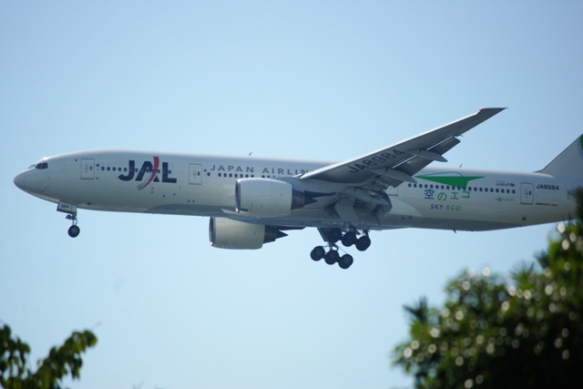f0145933_21202746.jpg