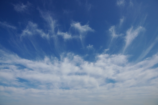 f0145933_2122912.jpg