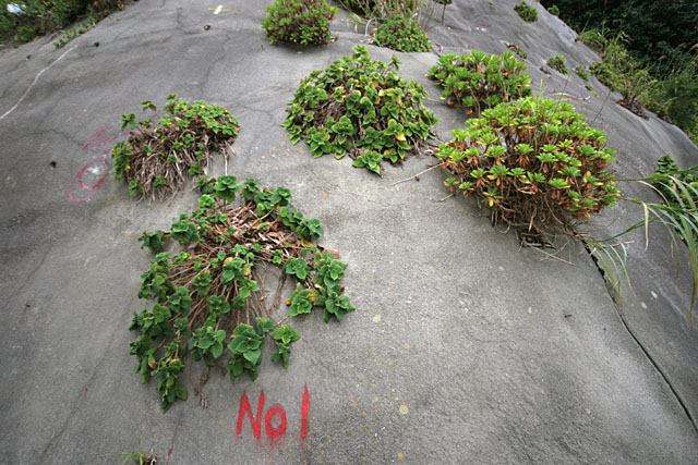 f0031535_2129655.jpg