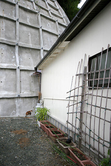 f0031535_21321468.jpg
