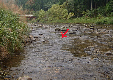b0174137_19202267.jpg