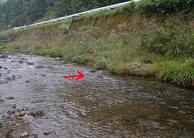 b0174137_19221088.jpg