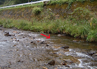 b0174137_19231277.jpg
