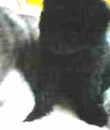 a0050838_21172532.jpg
