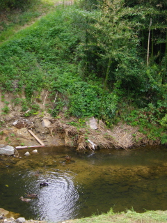 c0106938_9295282.jpg