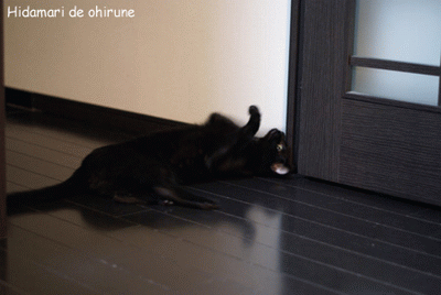 c0132438_22353421.gif
