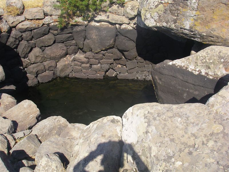 c0117848_018882.jpg