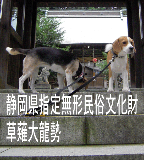 b0005652_21131978.gif
