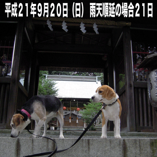 もうじき　草薙神社例大祭　龍勢花火_b0005652_21133883.gif