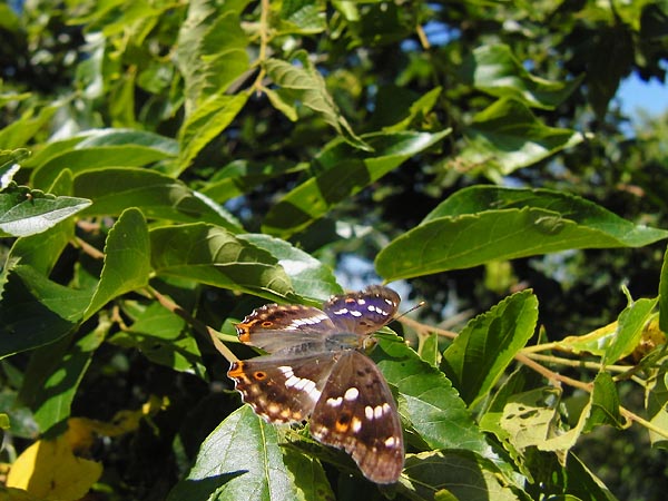c0045352_17423710.jpg