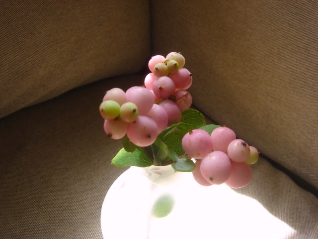 b0173755_2337376.jpg