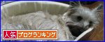 c0202659_0513850.gif