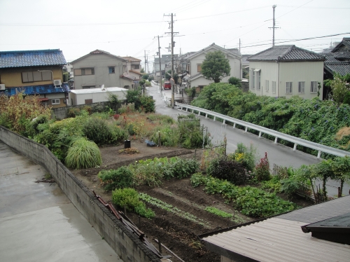 雨で休暇気分_c0108460_12115889.jpg