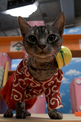 (有)猫田工務店 その2_d0126264_19583625.jpg