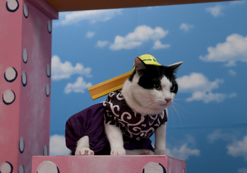 (有)猫田工務店 その2_d0126264_201449.jpg