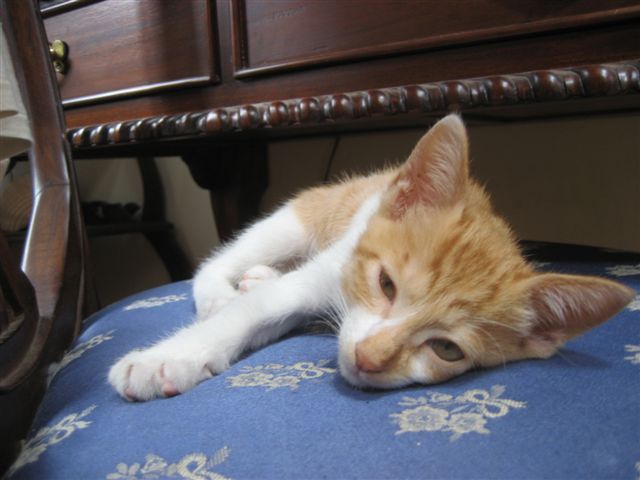 a0123465_0151561.jpg