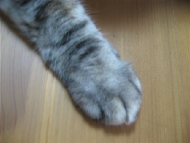 a0123465_23364529.jpg
