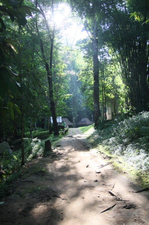 b0149365_2044888.jpg
