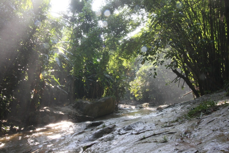 b0149365_2094490.jpg
