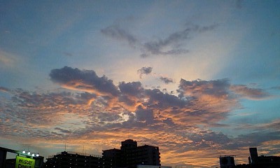 a0095470_21571489.jpg