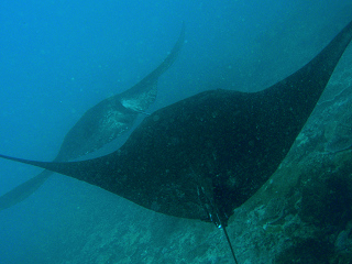c0131970_22435786.jpg