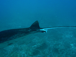 c0131970_22444426.jpg
