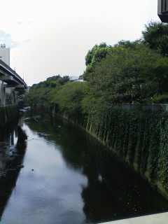 江戸川橋　yurucafe（ユルカフェ）の500円ランチ_f0112873_4384994.jpg