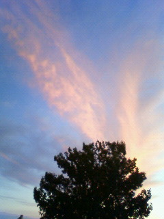 c0135480_17171978.jpg