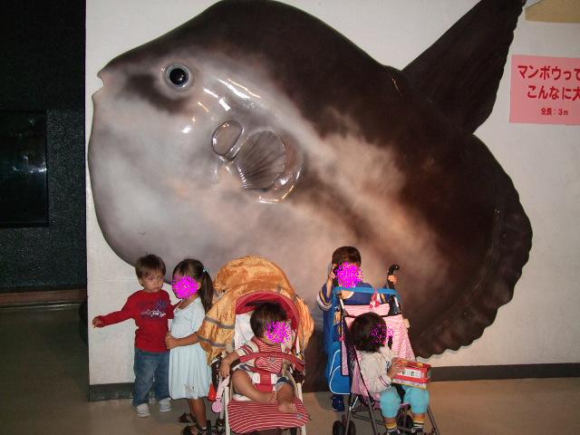 e0123680_22415037.jpg
