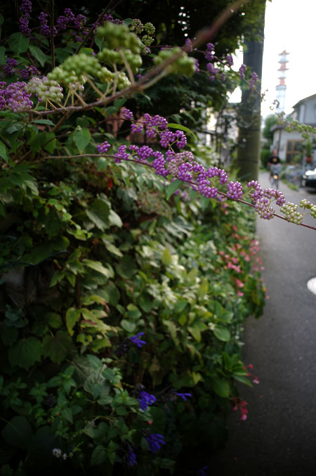 10日間の熟成_e0082981_23161160.jpg