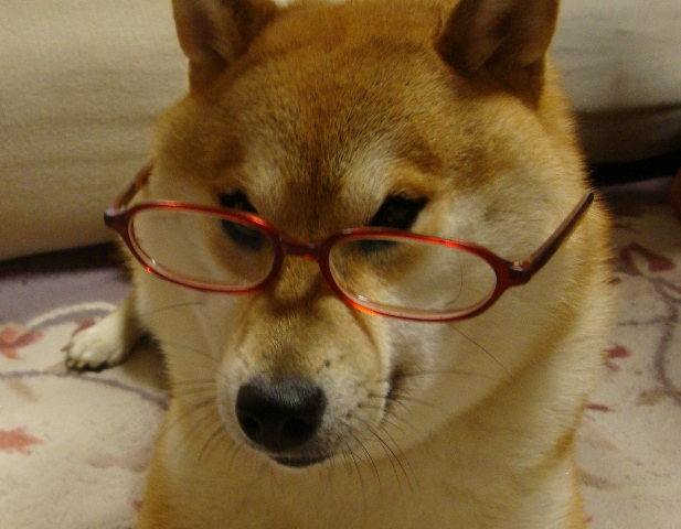 飾りじゃないのよ、ボタンは。_a0126590_21534446.jpg