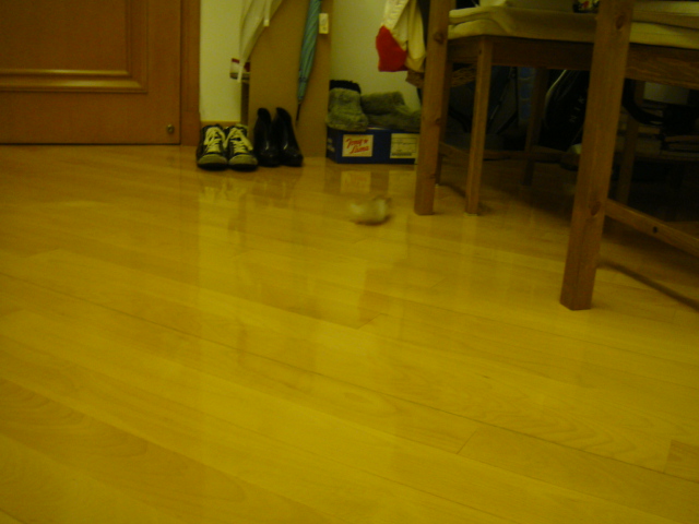 e0155496_18403719.jpg
