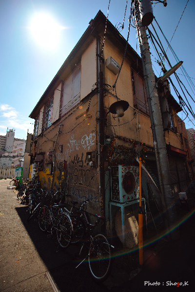 f0186496_129663.jpg