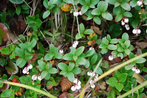 c0124100_222807.jpg
