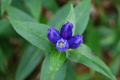 c0124100_22311768.jpg
