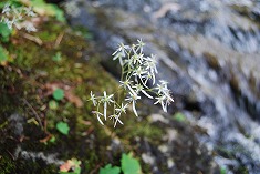 c0124100_22321212.jpg