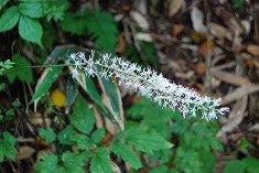 c0124100_2232329.jpg