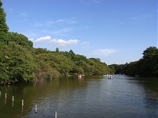 2009年9月16日（水） ； 晴れ_d0051601_22433360.jpg