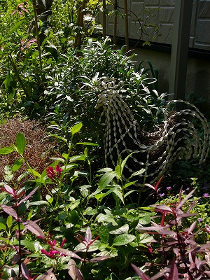 a0123003_1744558.jpg