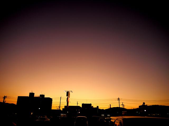 自然のchikara_c0198903_22573091.jpg