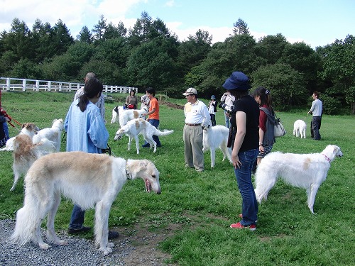 清里・八ヶ岳　その１　－　ルアーコーシング編　/  Kiyosato Trip 1 - Lure Coursing_a0032004_0264458.jpg