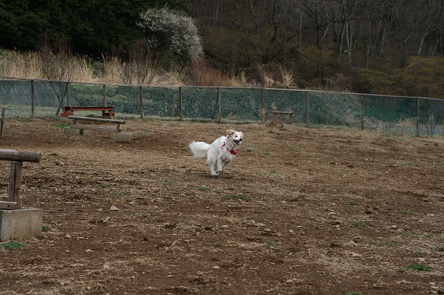 a0032004_3391915.jpg