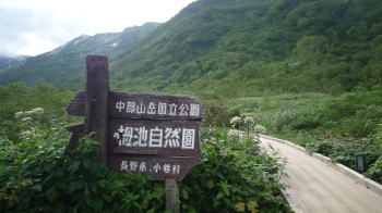 e0070606_112646.jpg