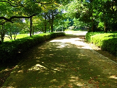 RUN付きBBQ _a0036808_11114691.jpg