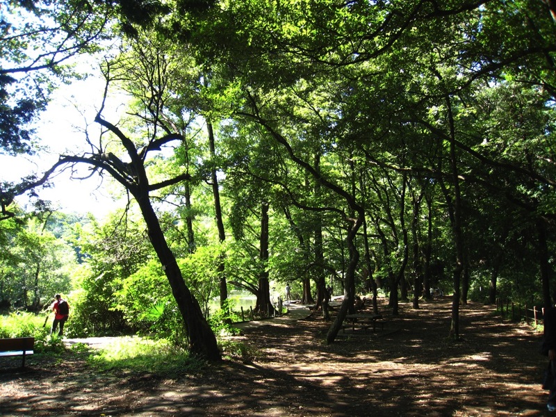 f0141609_2084640.jpg