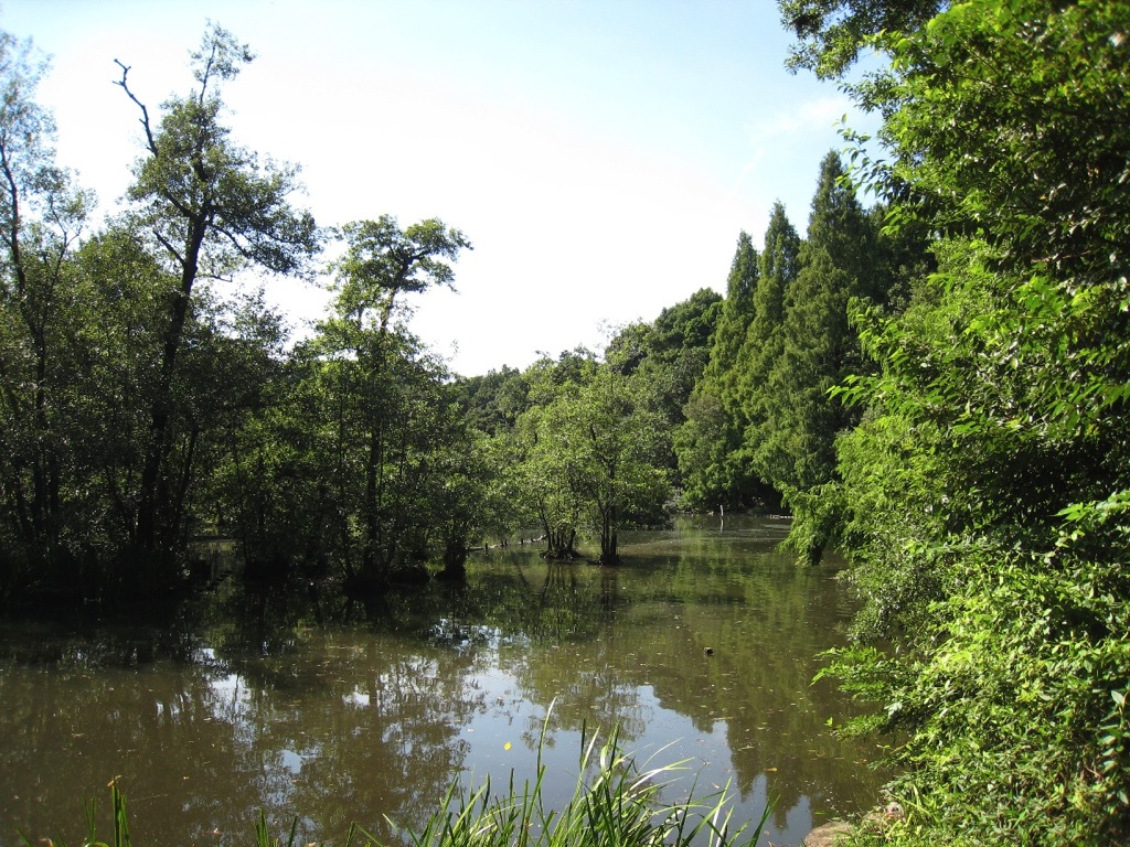 f0141609_2092249.jpg