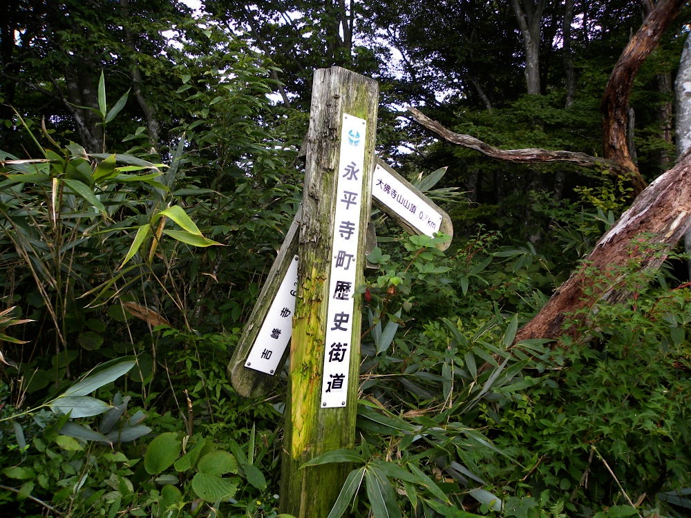 草刈隊　水曜組in大佛寺山　3日目　９月16日（水）_c0078410_23264115.jpg